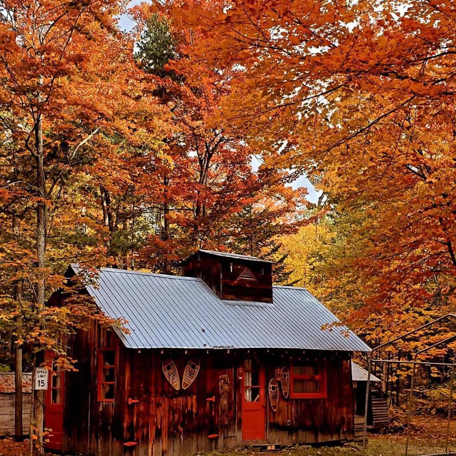 Les Chalets Sur Le Cap Saint Joachim Bagian luar foto